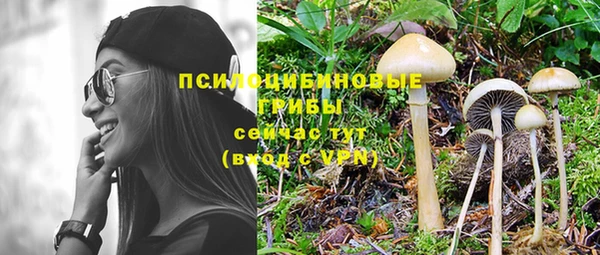 мет Белокуриха